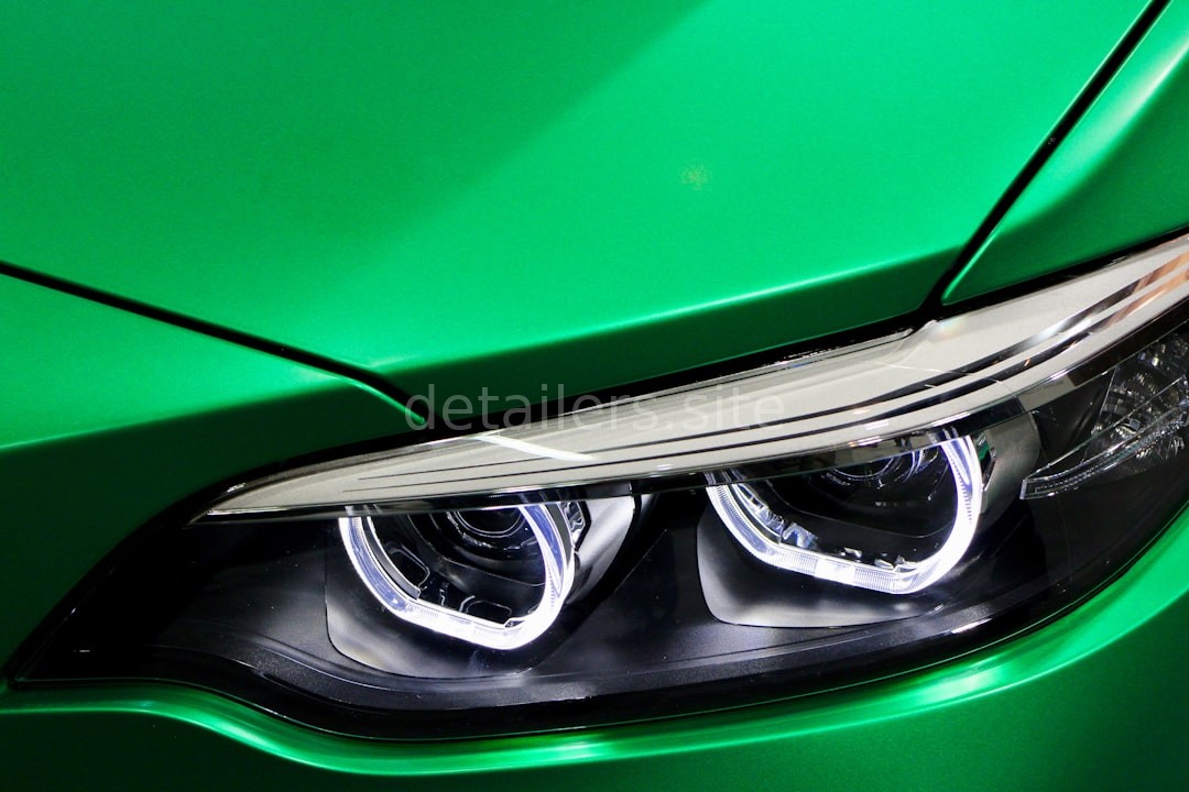 Paint Protection